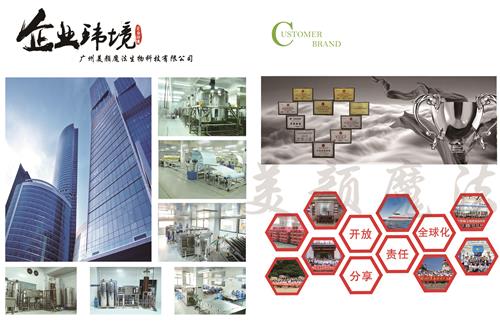 金沙2004线路检测